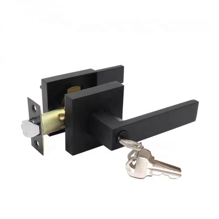 Door Handle Lock Zinc Alloy Lever Lock, Modern Door Handle Set, Anti-theft  Door Lever Lock With Keys